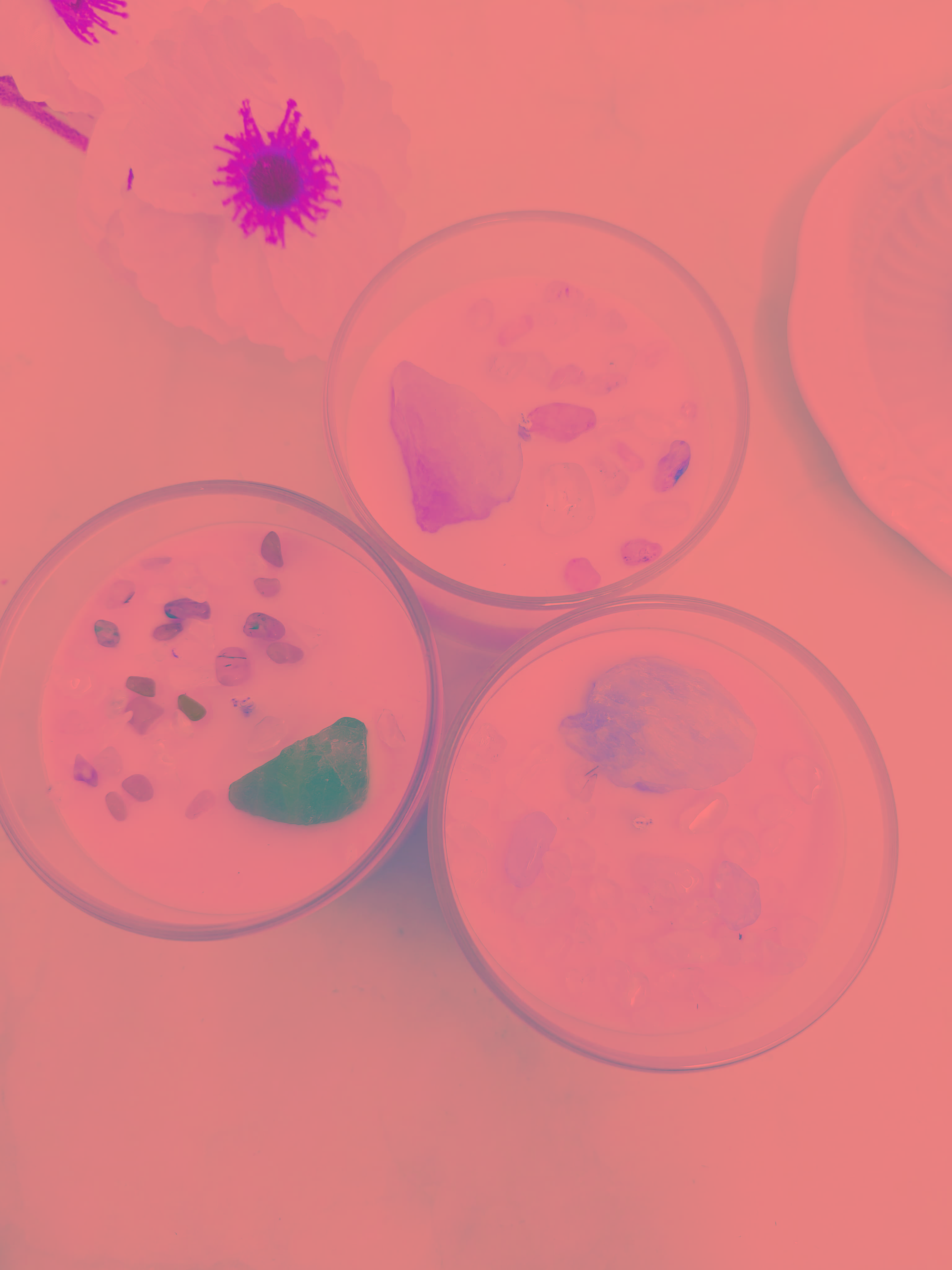 Soft Glow Cotton Wick Set